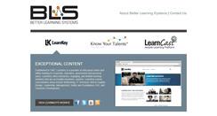 Desktop Screenshot of betterlearningsystems.com